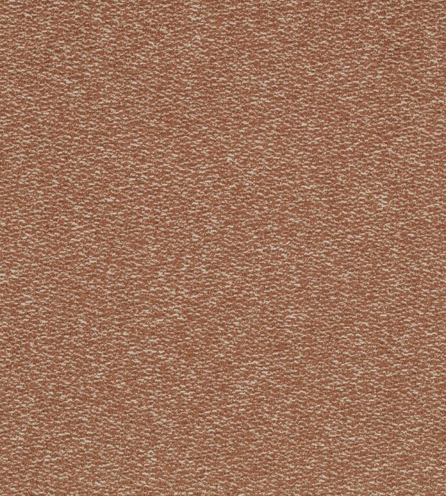 Spiral Fabric by Kirkby Design Sienna