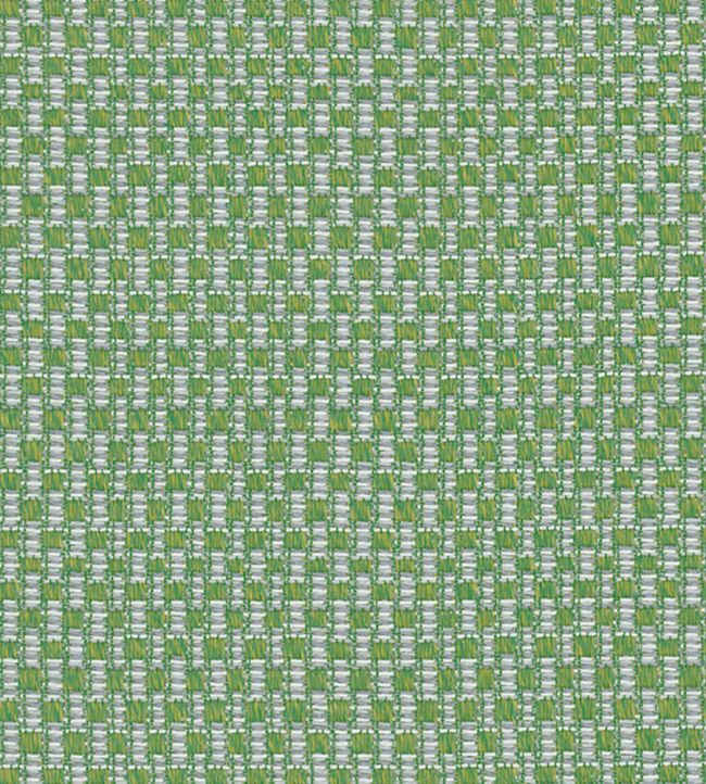 Splash Fabric by Osborne & Little Leaf Green