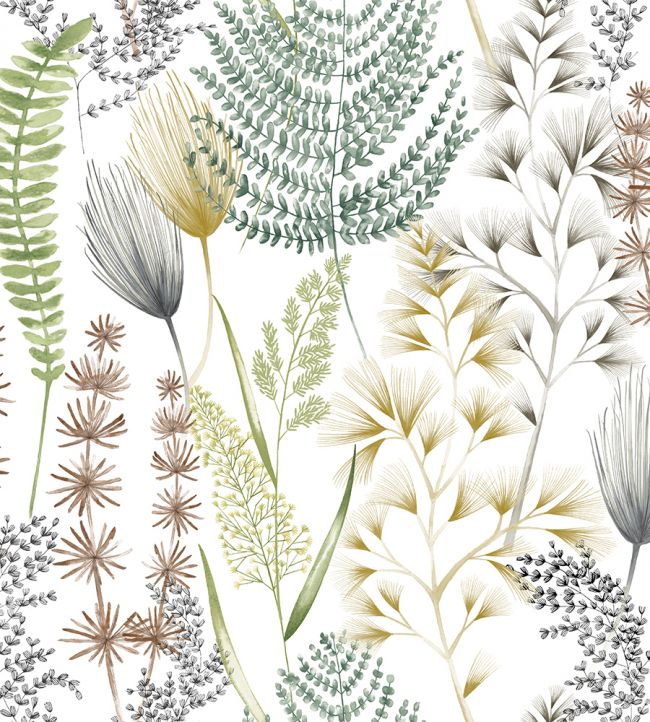 Summer Ferns Wallpaper in Earth Organic by Ohpopsi | Jane Clayton