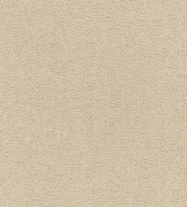 Surface FR Fabric by Kirkby Design Barley