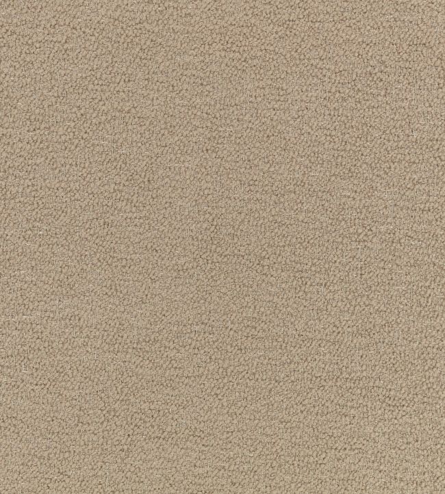 Surface FR Fabric by Kirkby Design Hazelwood