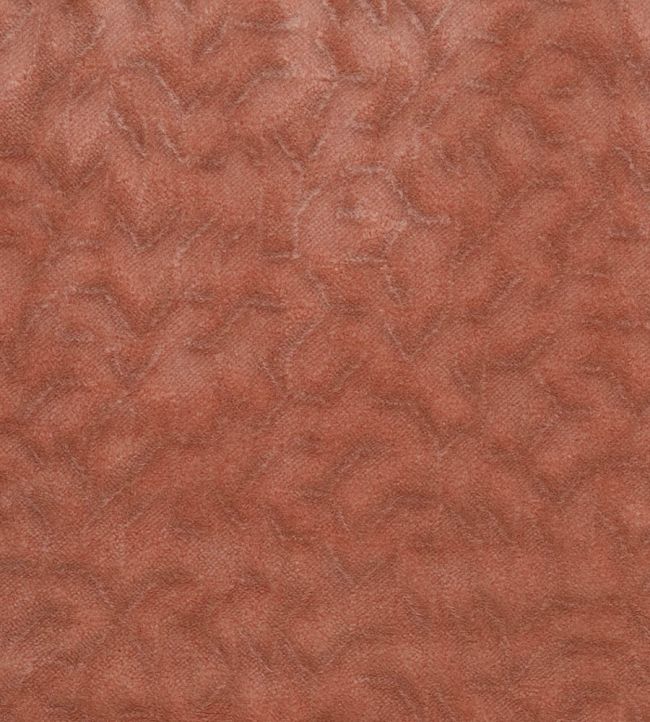 Talbot Fabric by Osborne & Little Coral