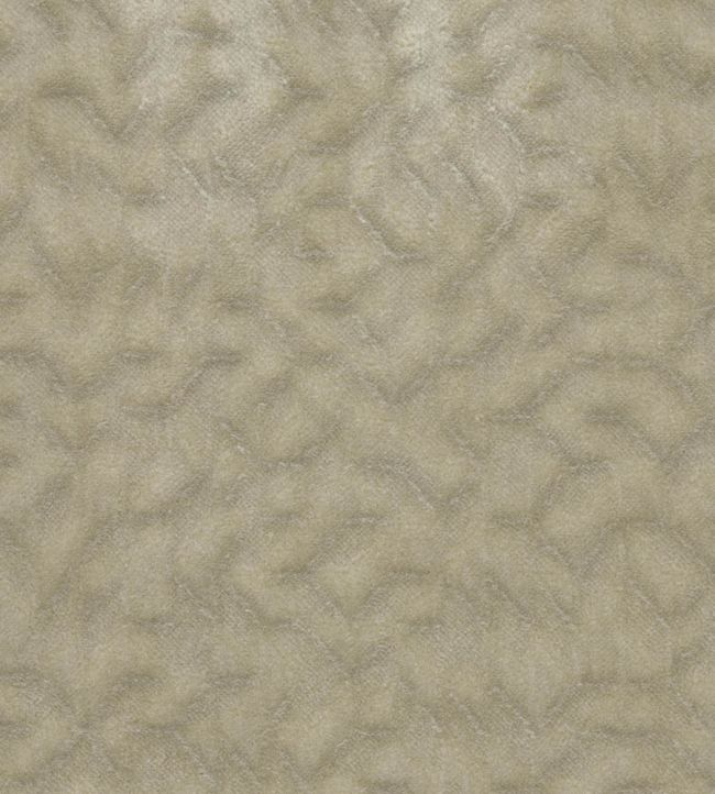 Talbot Fabric by Osborne & Little Linen