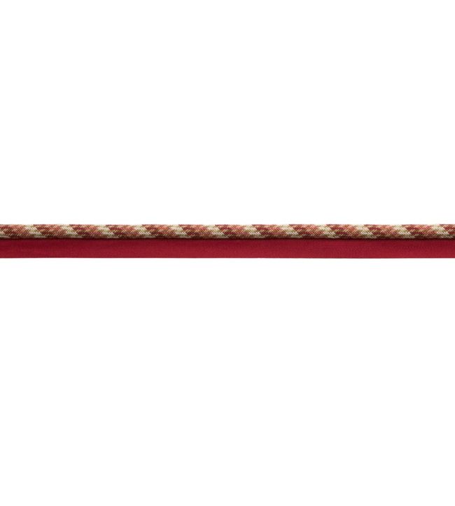 Taos Cord With Tape Trimming by Samuel & Sons Cactus Bloom