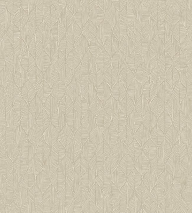 Tarrazu Wallpaper by Casadeco Beige Lin