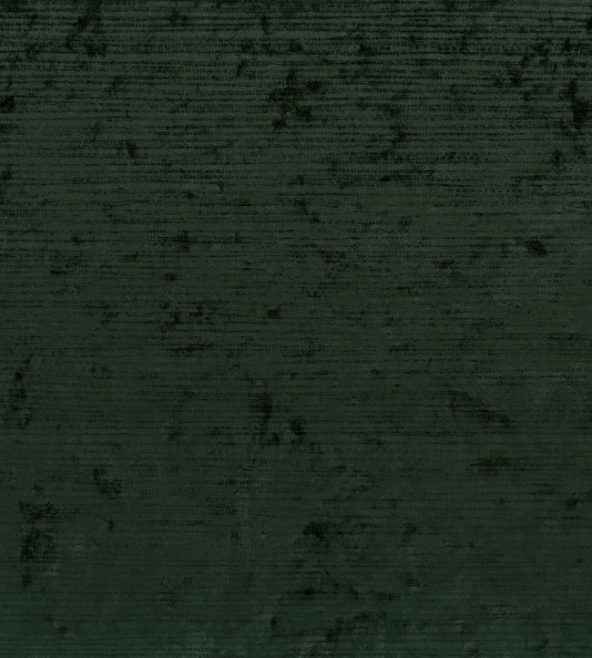 Tembe Fabric by Osborne & Little Fir