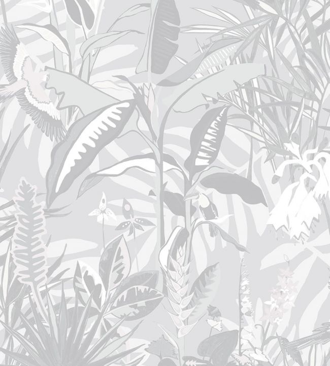 The Tropics Wallpaper by Brand McKenzie Stone Grey