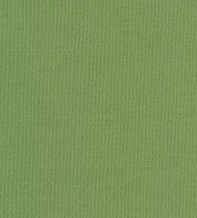 Liso Fabric by The Isle Mill Parakeet