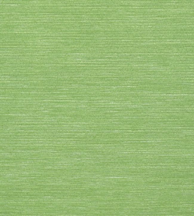 Surfrider Wallpaper by Thibaut Emerald Green