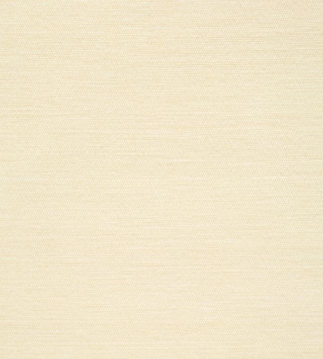 Surfrider Wallpaper by Thibaut Cream