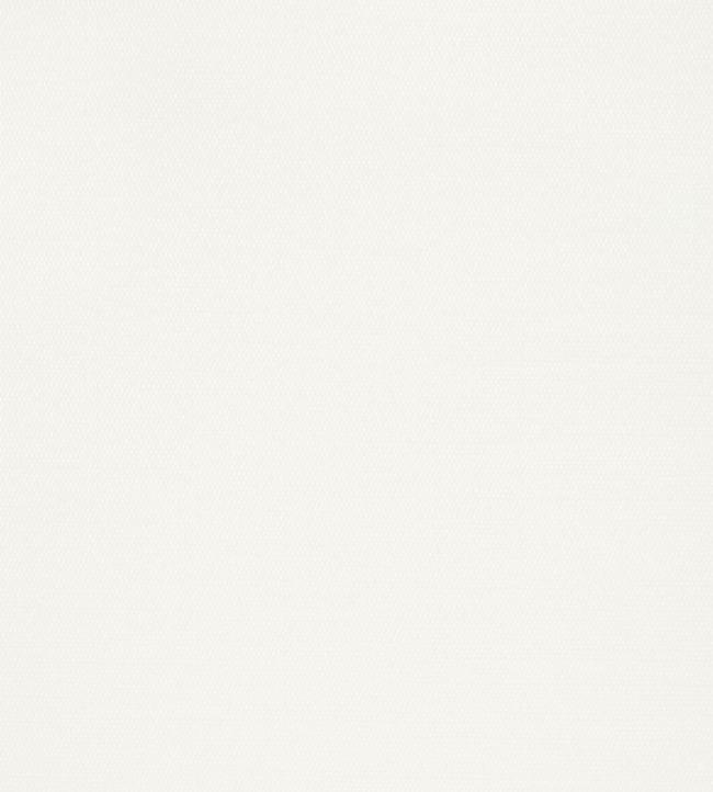 Surfrider Wallpaper by Thibaut White