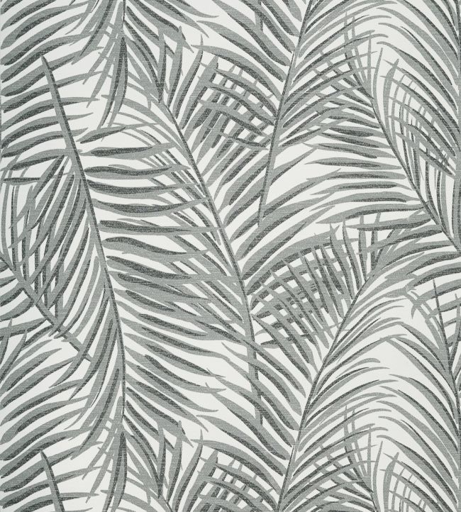 West Palm Wallpaper by Thibaut Black/White