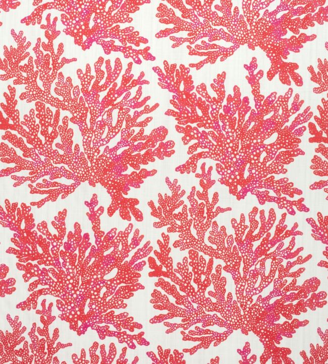 Marine Coral Fabric by Thibaut in Coral | Jane Clayton
