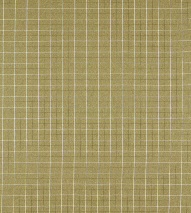 Thornton Fabric by Clarke & Clarke Olive