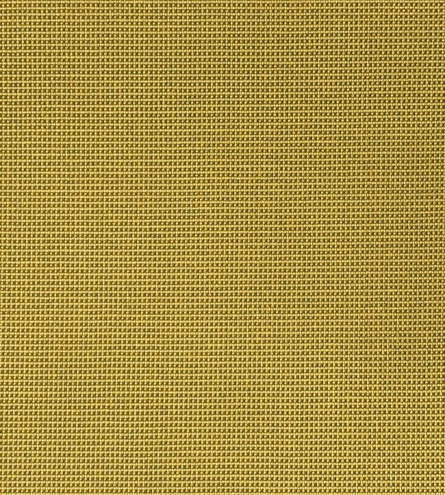 Tinos Fabric by Casal Citron
