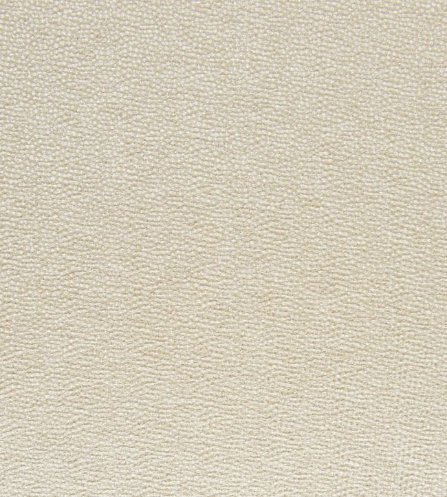 Flash Fabric by Today Interiors in Sunlight | Jane Clayton