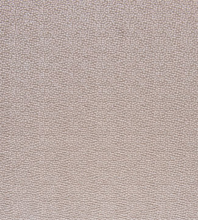 Flash Fabric by Today Interiors in Crystal | Jane Clayton