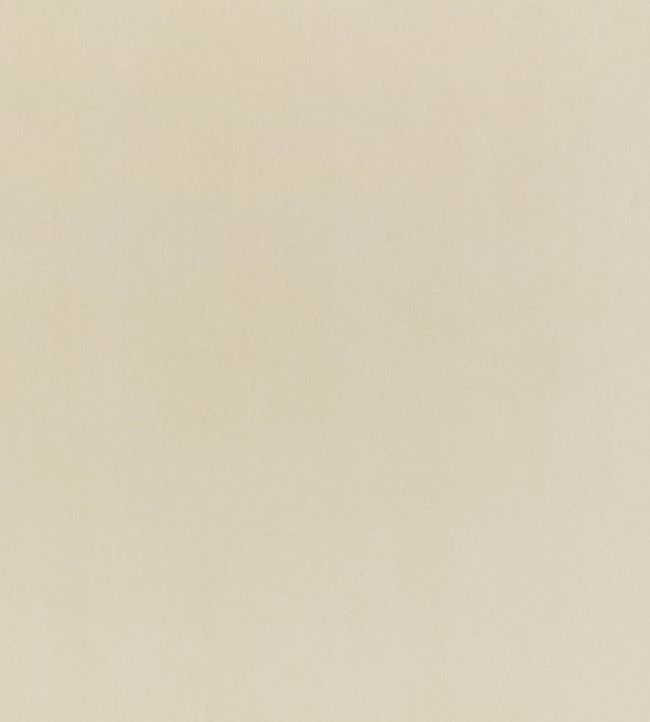 Todd Fabric in Moonbeam by Zinc Jane Clayton