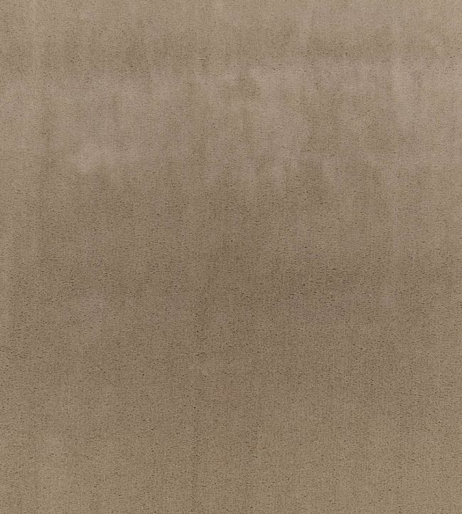 Todd Fabric by Zinc Putty