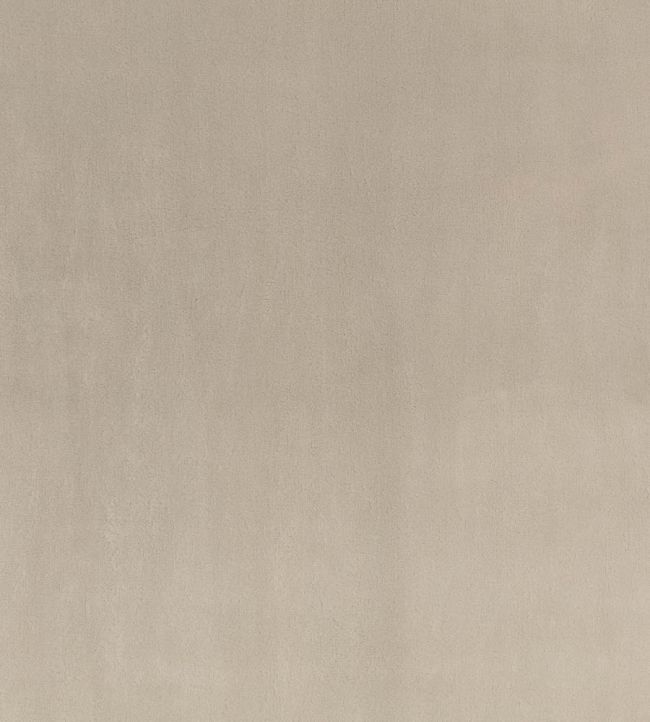 Todd Fabric by Zinc Silver Grey