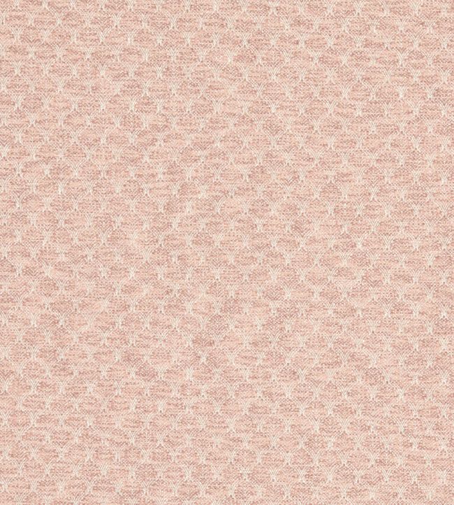 Trelica Fabric by Clarke & Clarke Blush