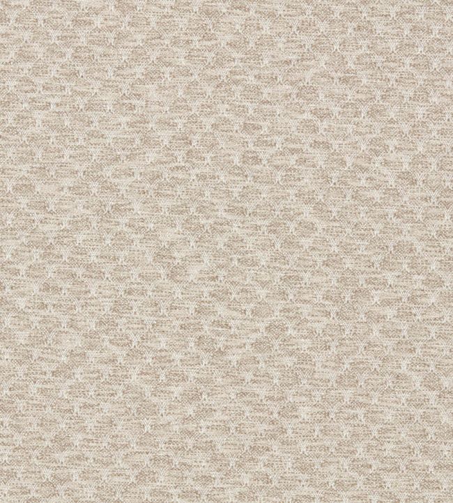 Trelica Fabric by Clarke & Clarke Pebble