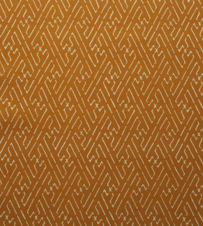 Trellis Fabric by Titley and Marr Amber