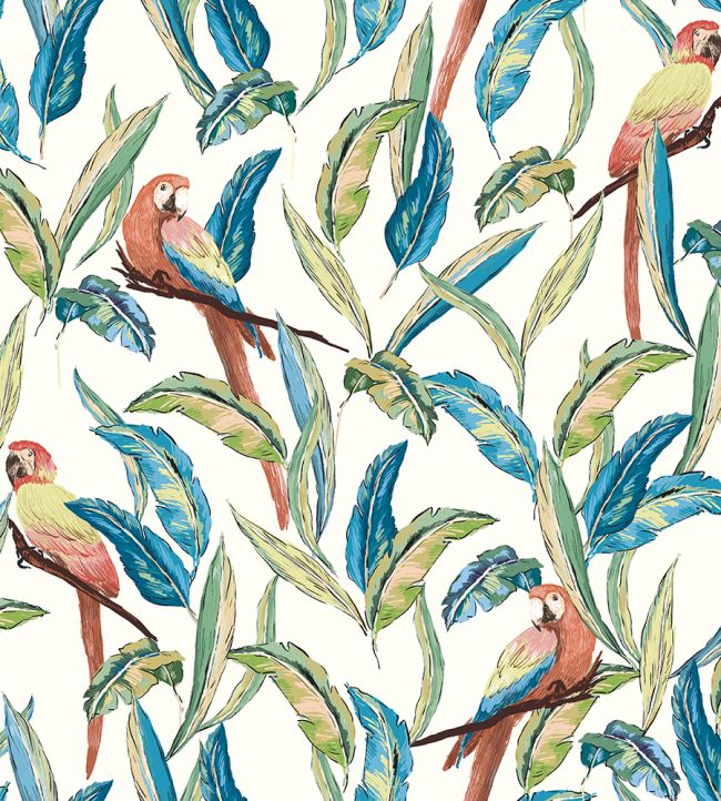 Tropical Parrot Wallpaper by Ohpopsi Wilderness White