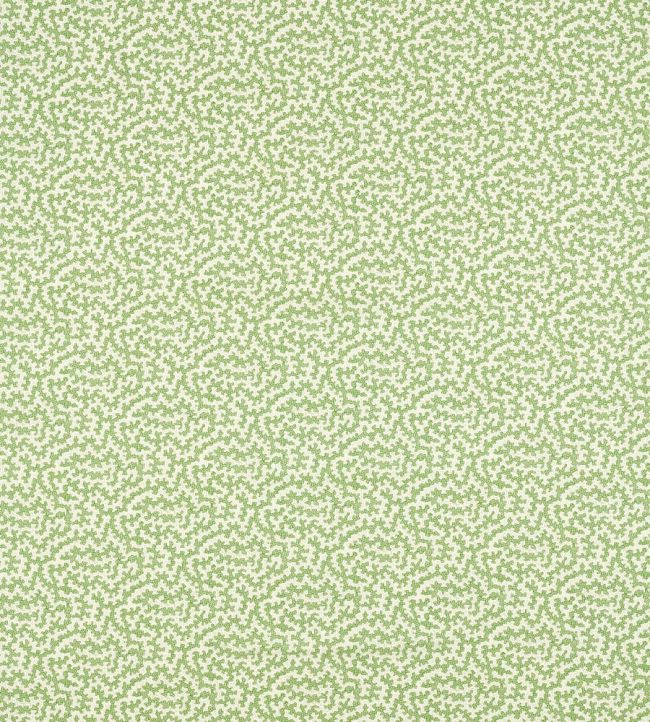 Truffle Fabric by Sanderson Sap Green