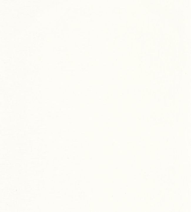 Uni Gaze Wallpaper by Caselio Blanc