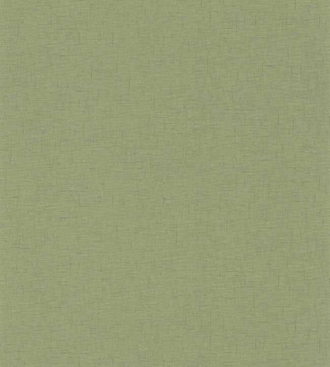 Uni Gaze Wallpaper in Vert Olive by Caselio | Jane Clayton