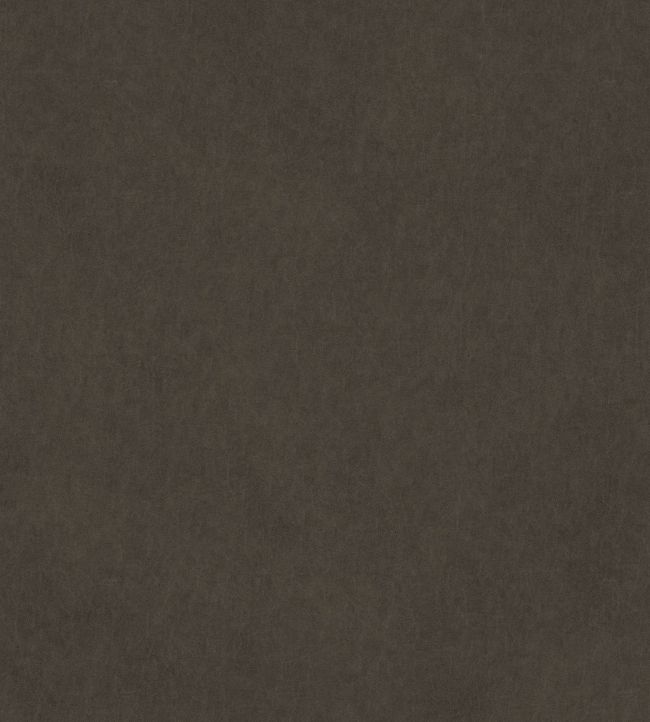 Vaquero Fabric by Warwick Aniline
