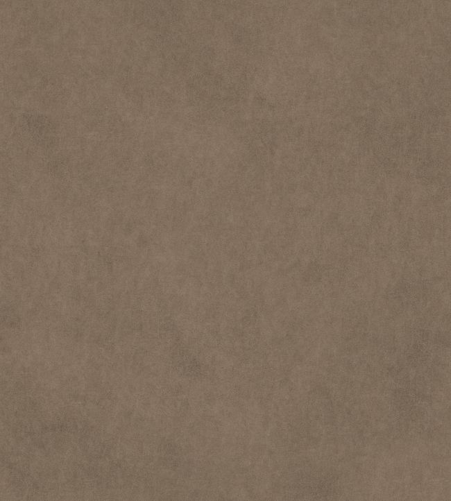 Vaquero Fabric by Warwick Fawn