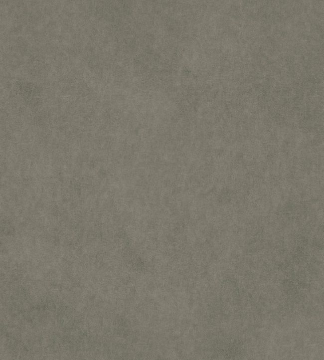 Vaquero Fabric by Warwick Seal