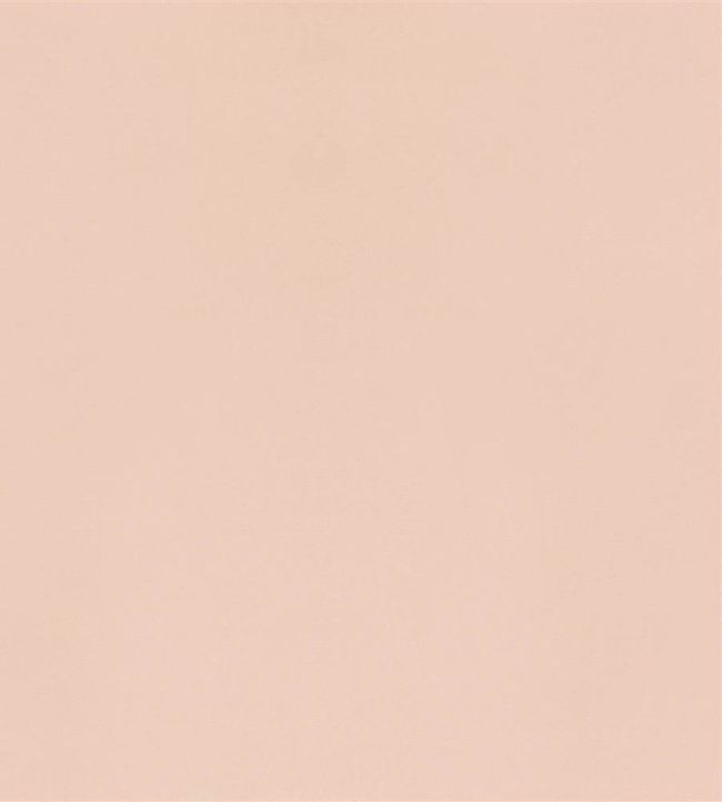 Velluto Fabric by Designers Guild Shell
