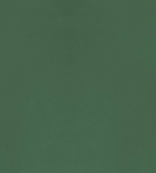 Velluto Fabric by Designers Guild Thyme