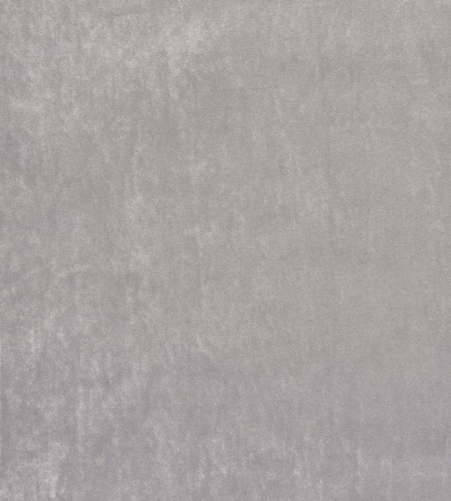 Velour Fabric by Prestigious Textiles Carbon