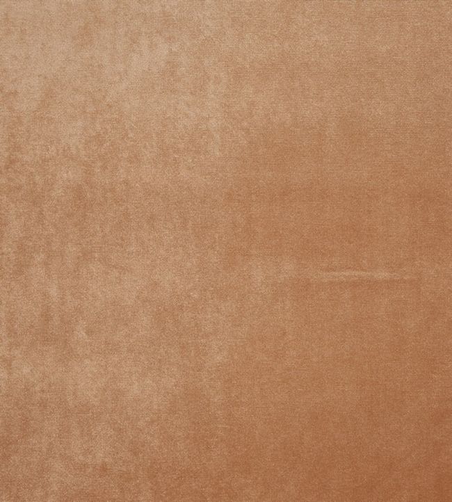 Velour Fabric by Prestigious Textiles Henna