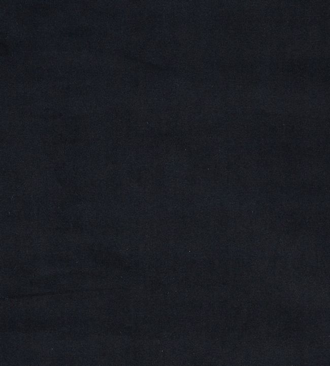 Velour Fabric by Prestigious Textiles Onyx