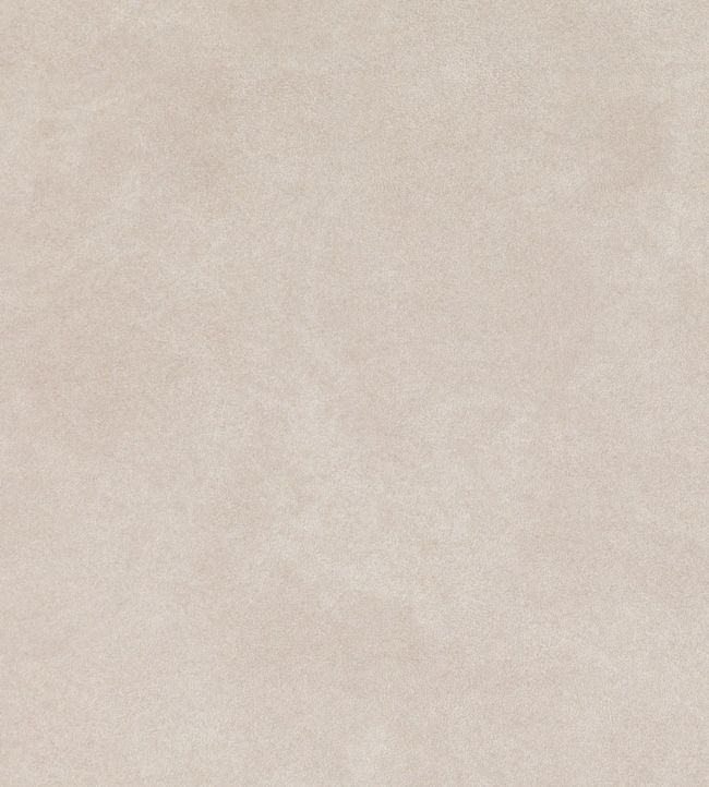 Estella Fabric by Villa Nova Conch