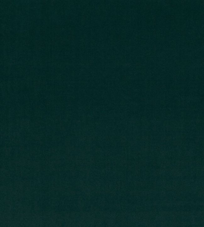 Pico Fabric by Villa Nova Serpentine