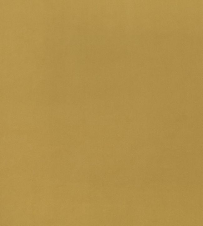 Pico Fabric by Villa Nova Honey