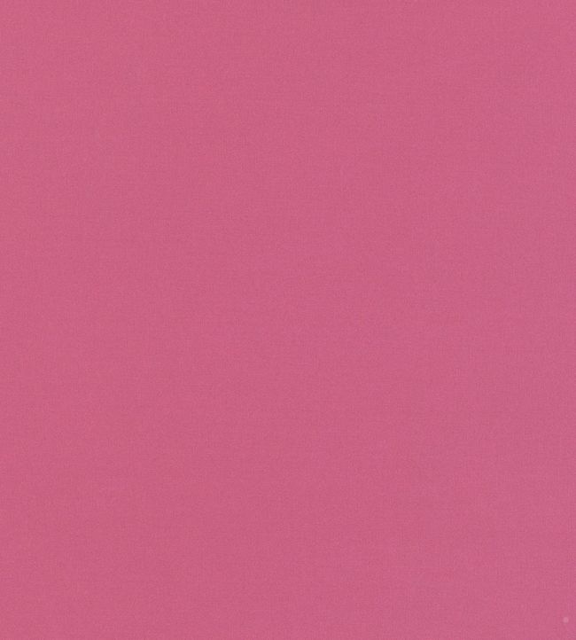 Valleta Fabric by Villa Nova Echinacea