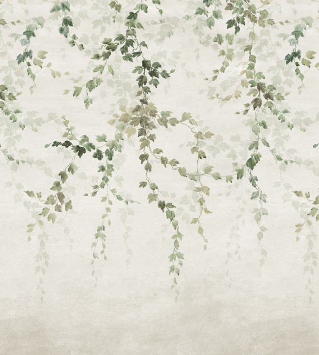 Vine Shadow Mural by Coordonne Green