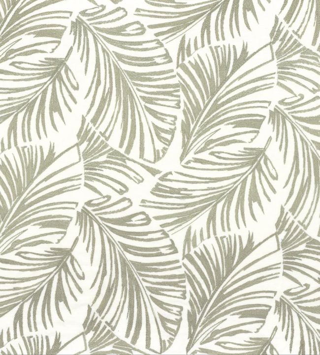 Vivace Fabric by Camengo Lichen