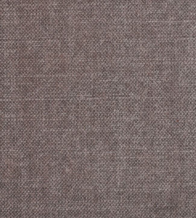 Jeans Fabric by Warwick Cocoa
