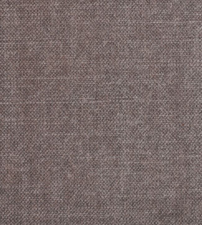 Jeans Fabric by Warwick Cocoa