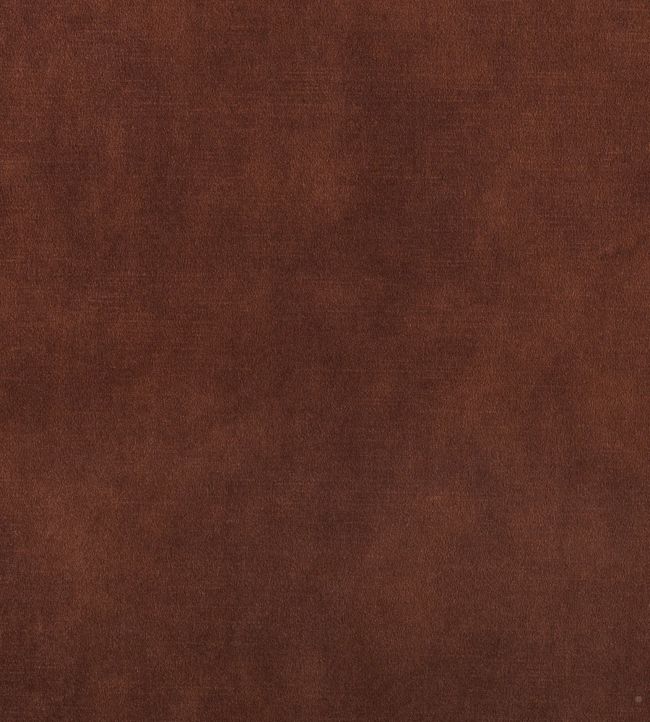 Lovely FR Fabric by Warwick Umber