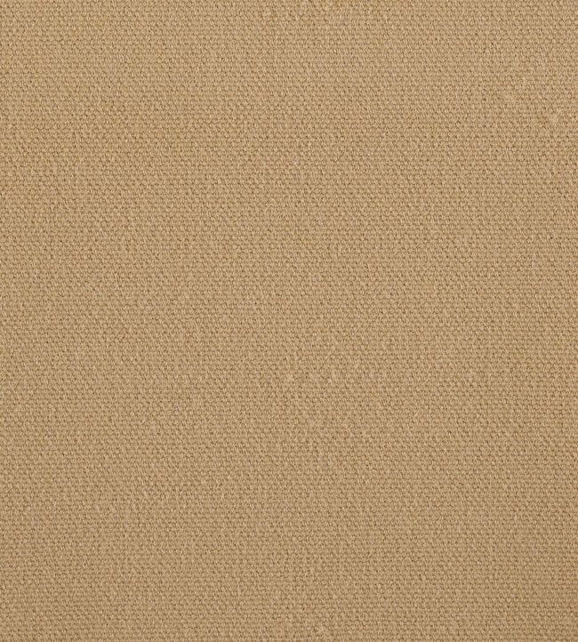 Monterey Fabric by Warwick Camel