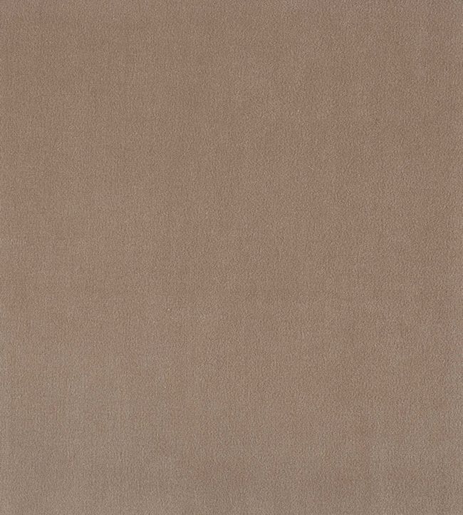 Plush Velvet FR Fabric by Warwick Bark